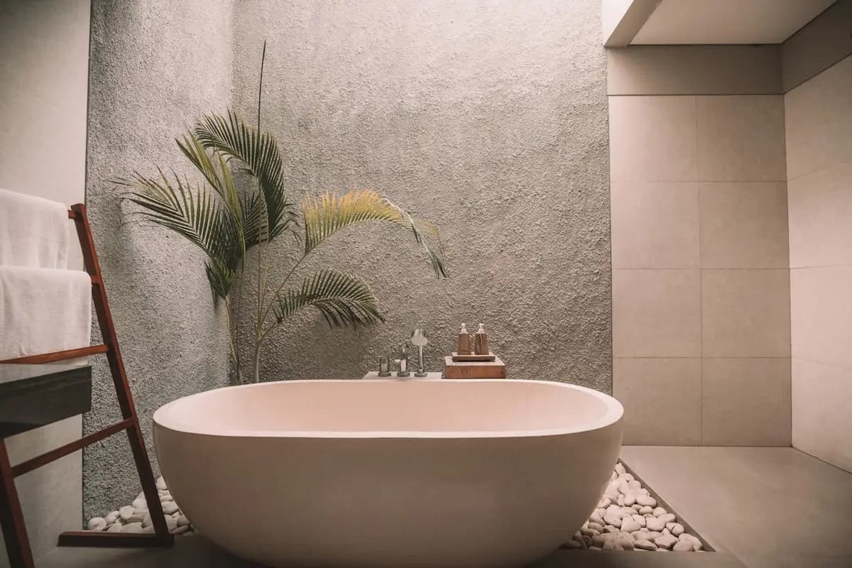 A bathtub and palm in a naturally lit spa interior